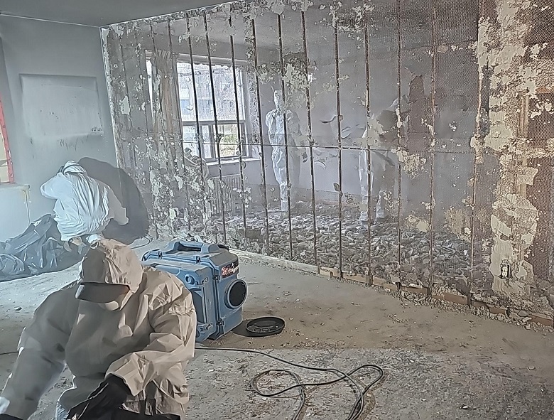 See How 247-365 Restoration Transforms Mold-Damaged Homes Across the GTA